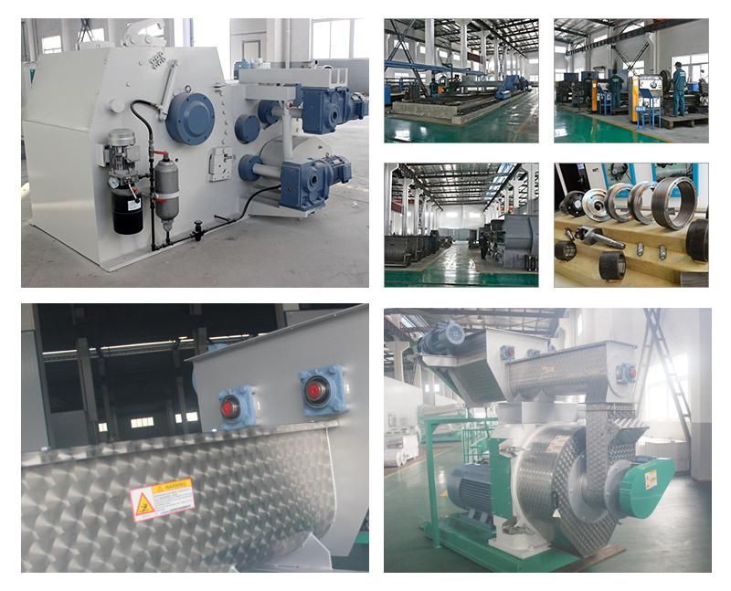 Factory Supplier Rice Husk Sawdust Pellet Fuel Machine