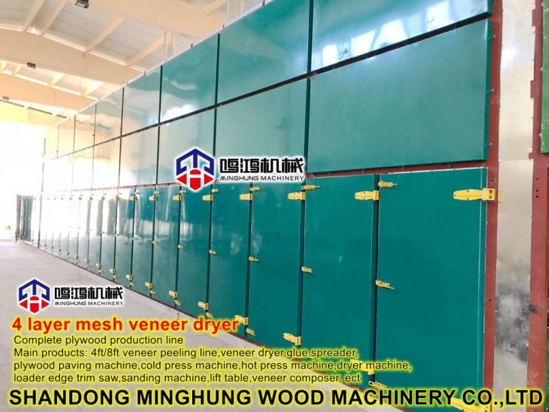 Oil/Steam High Efficiency Dryer Machine/Veneer Roller Dryer