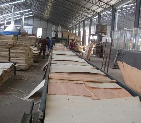 Plywood Paving Machine/ Tustworthy Plywood Machine/Perfect Plywood Price/Plywood Paving Machinery/Superb Quality
