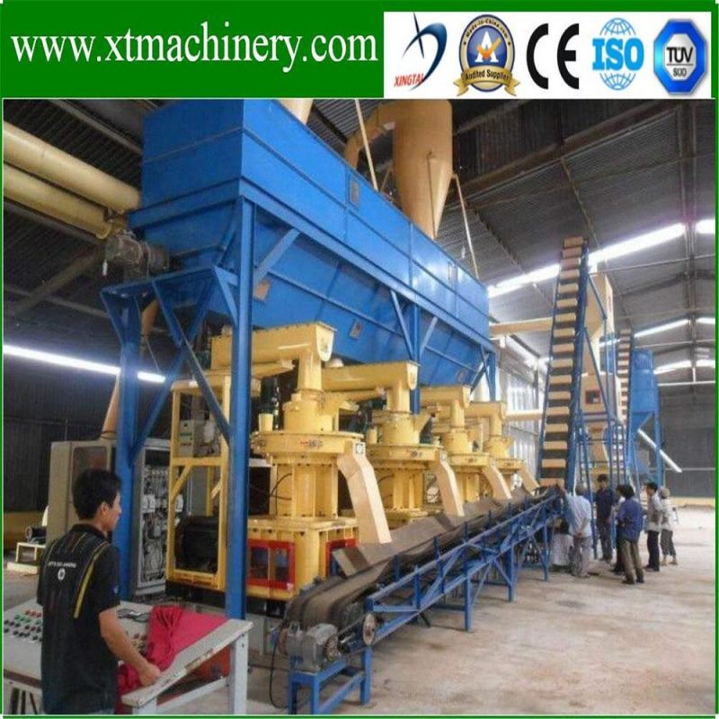 High Efficiency, Low Price, Ce Certificate, Peanut, Cashew Shell Pellet Mill