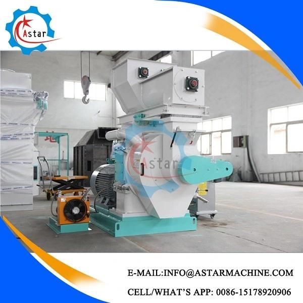 Hot Sale in Europe 0.5-10t/H Wood Pellet Line Wood Pellet Plant Wood Sawdust Pelleting Machine