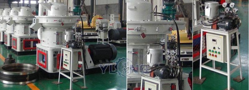 Energy Saving Biomass Wood Sawdust Pellet Machine with Competitive Price