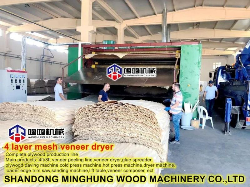 Plywood Veneer Papel Drying Machine Mesh Dryer