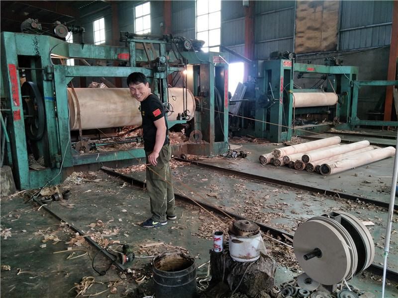 2600mm Spindle Veneer Peeling Lathe Woodworking Machine