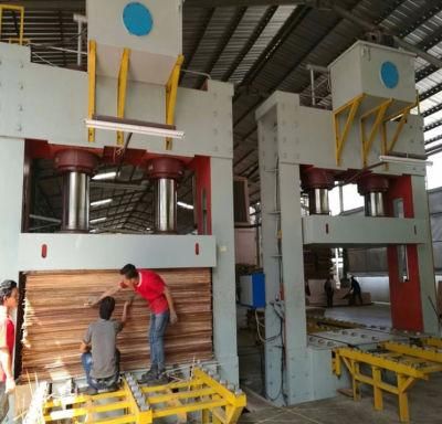 Plywood Cold Press 500 Tons