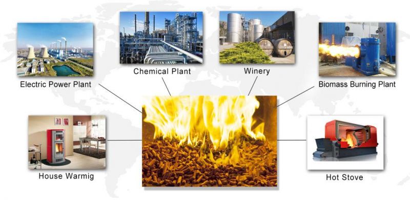 Wood Making Machine Biofuel Pellet Machine