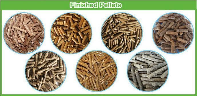 CE Certificated Hot Sale Factory Supply Ring Die Biomass Pellet Machine