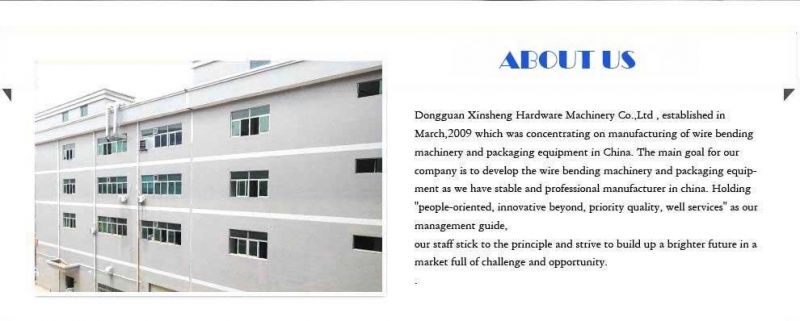 New Model 3 Axis CNC 2D Wire Bending Machine