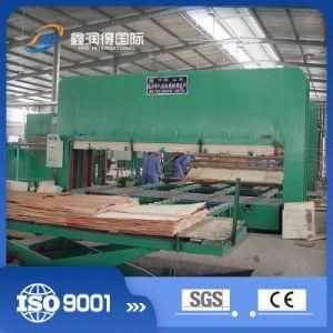 Made in China Woodworking Machinery Wood Equipment Hot Press