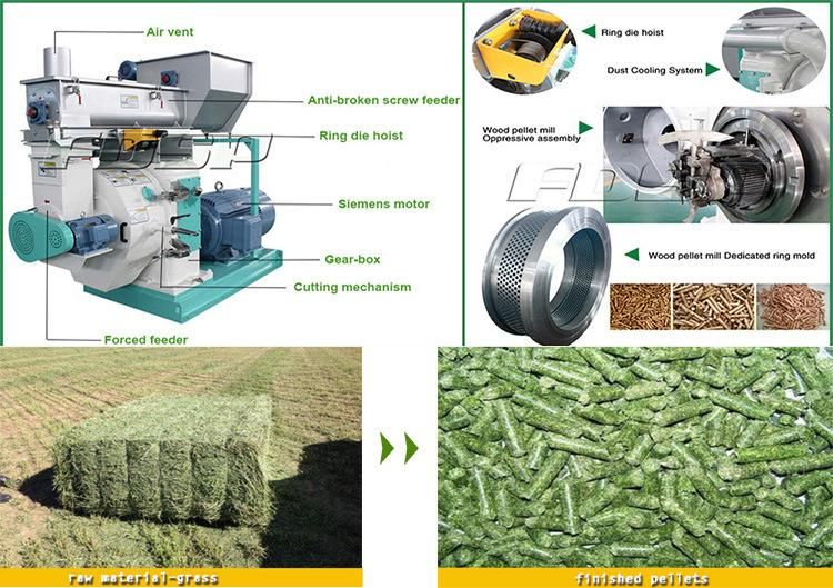 Hot Selling Ring Die Wood Pellet Mill for Making Wood Pellet