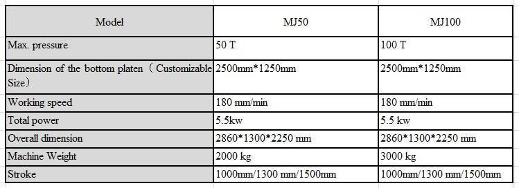 100t Cold Press Machine with Two Cylinders