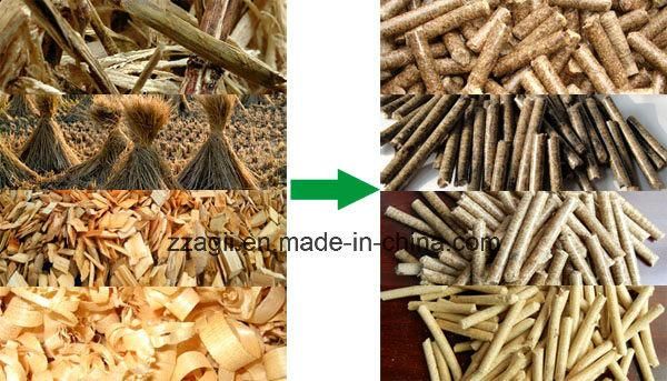 Flat Die Biomass Pellet Mill Wood Granulator Sawdust Pelletizer