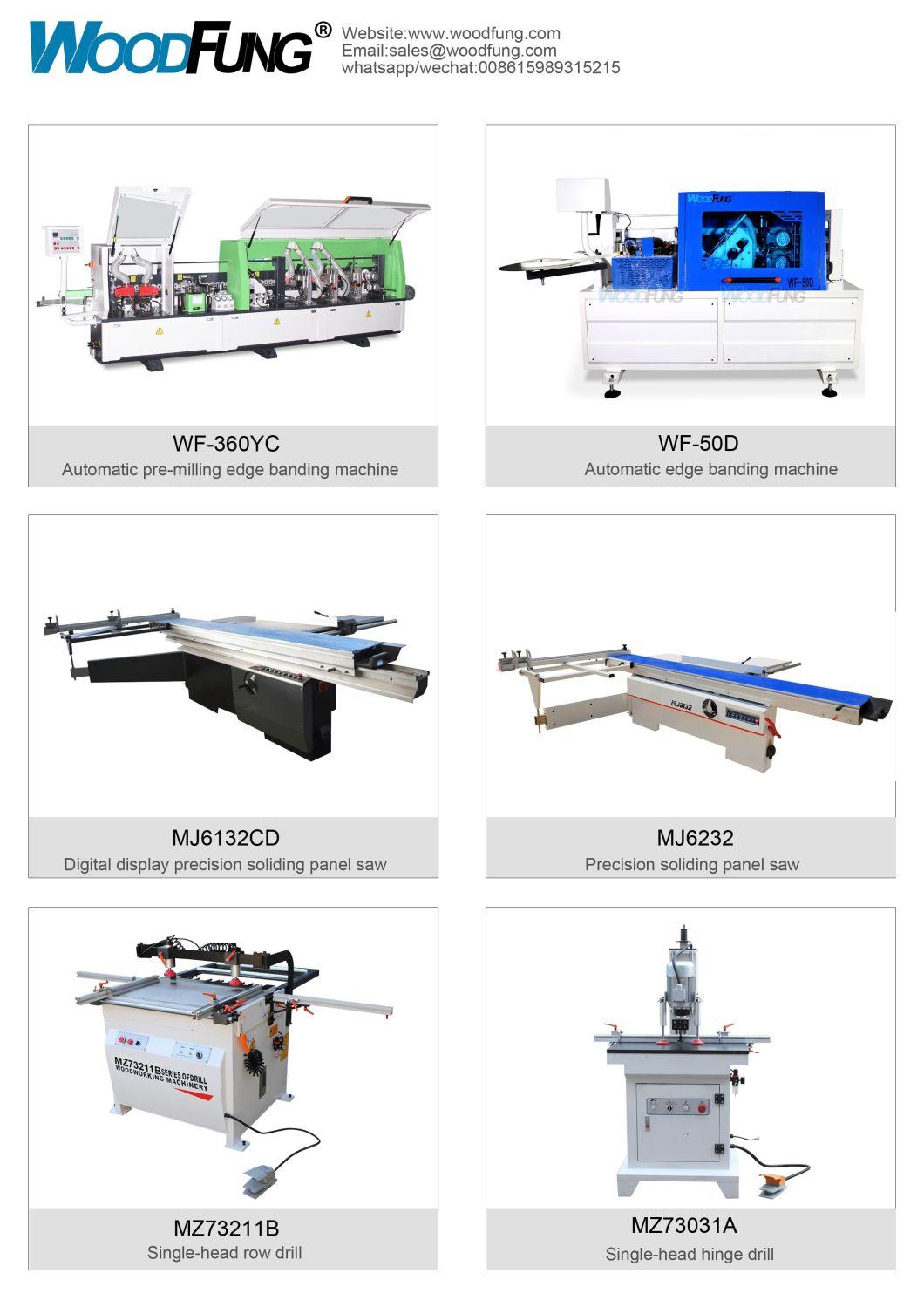 China Professional Woodworking Sliding Table Panel Saw for Cutting MDF and Solid Wood 3800mm