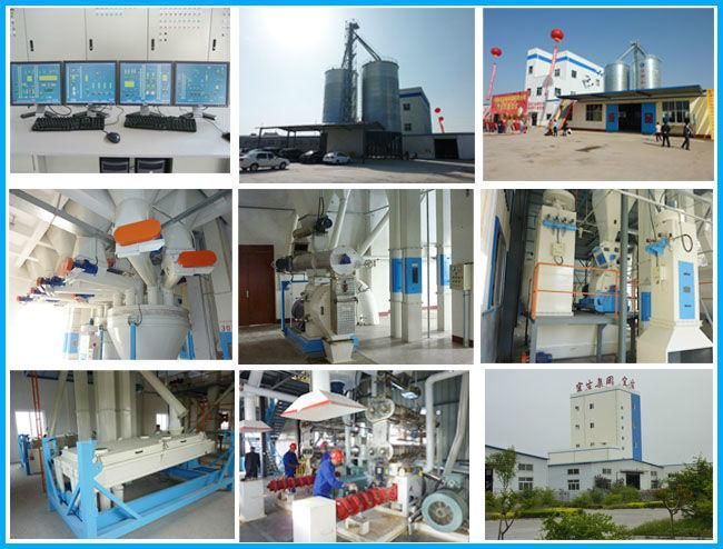 Fish Meal Plant Fish Feed Producing Machinery