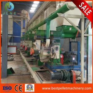 5 Ton Per Hour Wood Biomass Pellet Plant Palm Efb