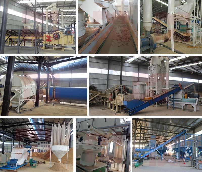 Customized 2t/H Wood Sawdust Pellet Mill Plant, Large Capacity Ring Die Wood Pellet Press, Biomass Pelletizer Pelletizing Machine
