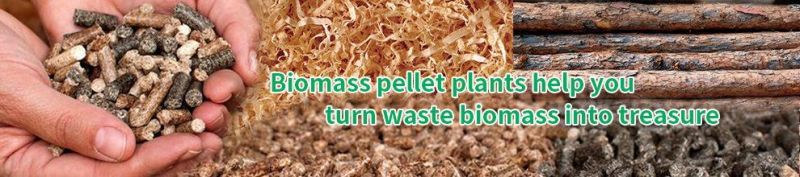 1000kg Biomass Wood Fuel Pellet Manufacturing Machines Line