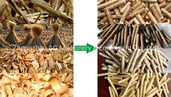 Biomass Waste Sawdust Wood Pellet Mill Produce Fuel Pellets for Pellet Stove