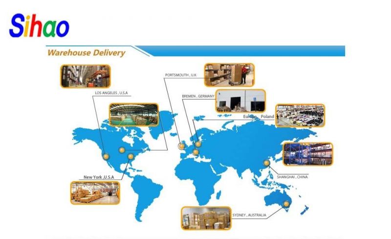 China Professional Large 3D CNC Router CNC Cutter CNC Engraver for Sale