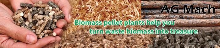 Biomass Pellet Manufacturing Equipment Wood Pelletizing Machine Sawdust Pellet Press