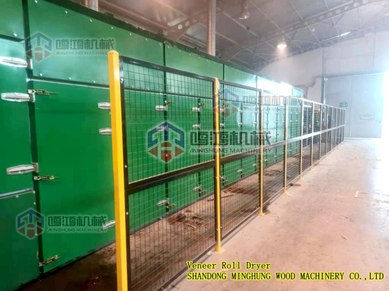 Veneer Drying Line for Mesh Wire Dryer