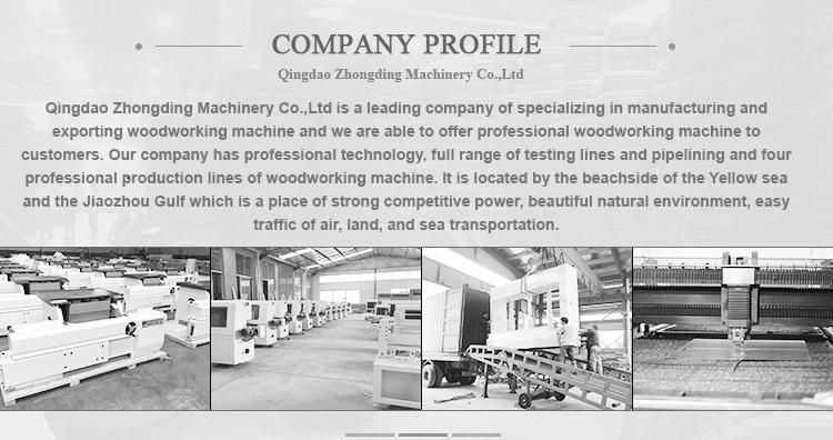 Woodworking Machinery Polishing and Sanding Machine Heavy Duty Sander