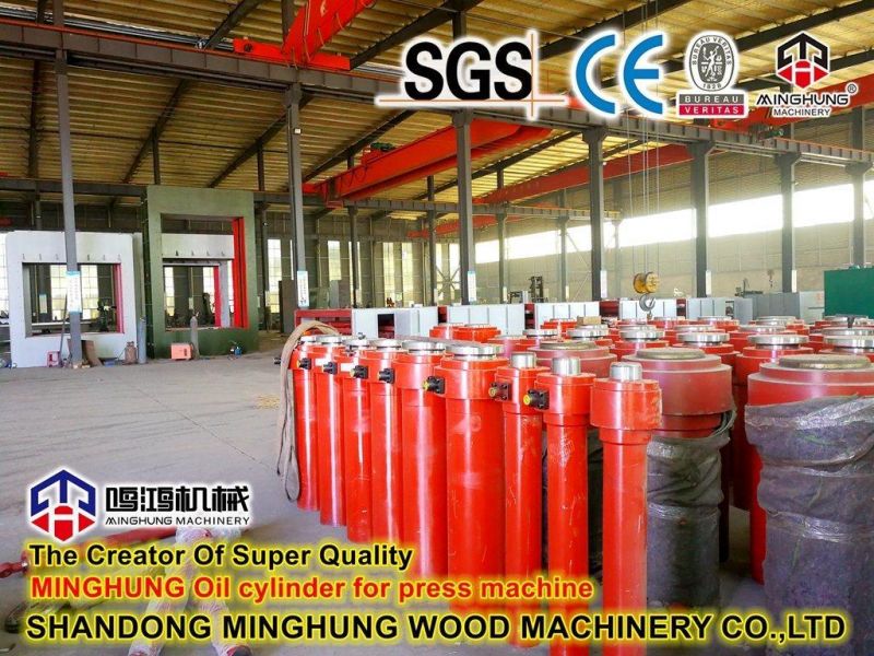 Wood Working Plywood Cold Press in China