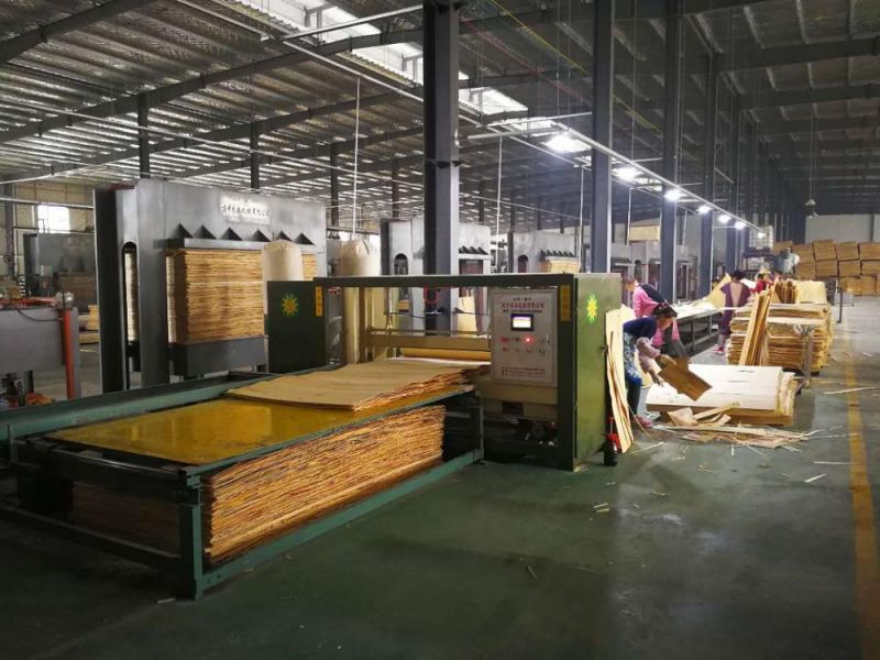High Efficiency 30m Plywood Paving Machine