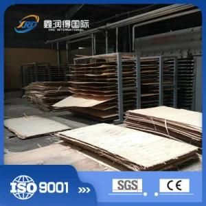 Plywood Making Machine of Plywood Hot Press