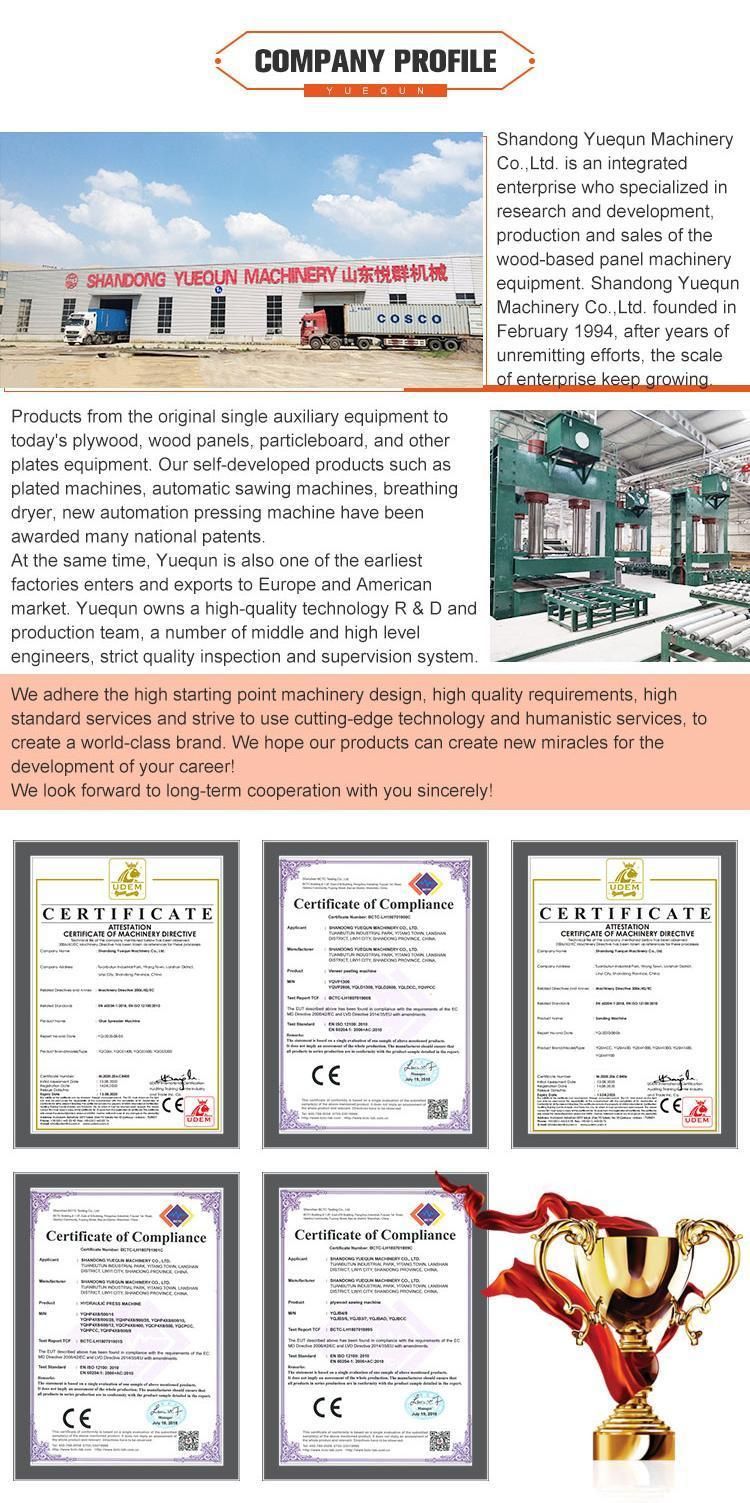 Plywood Double Sizer Dd Saw Edge Trimming Saw Machine for Plywood Edge Cutting Saw Machine