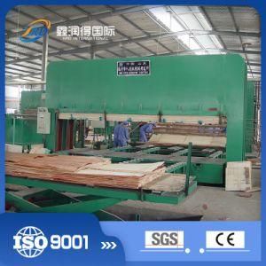 High Quality Mechanical Automatic Hot Pressing Machine