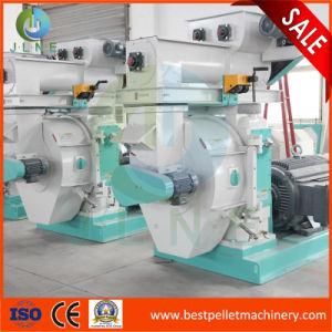 Automatic Lubrication 6-12mm Size Wood Pellet Machine Supplier From China