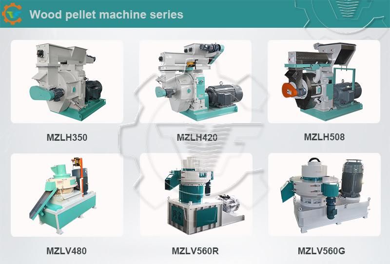 Ring Die Biomass/Wood/Rice Husk/Sawdust Pellet Mill Manufacturers