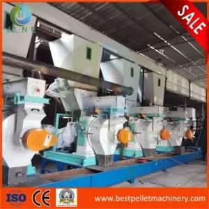 Biomass/Sawdust/Straw/Corn Stalk/Rice Husk/Wood Pellet Production Line