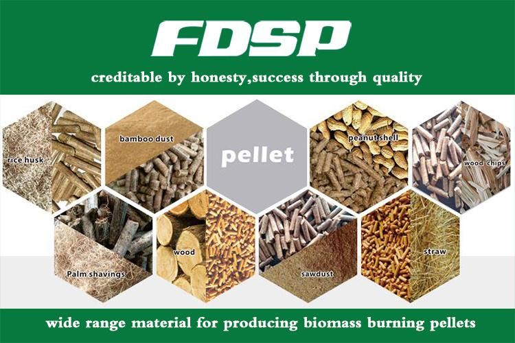 Ring Die Wood Pellet Mill/Biomass Pelletizer Machine with CE/ISO