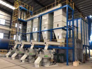 2 Ton Per Hour Biofuel Rice Husk Pellet Press Machine with Best Import Price