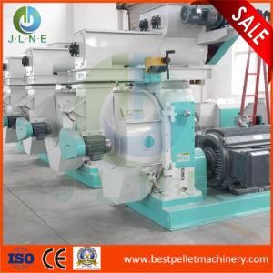 Biomass Wood/ Rice Husk/ Straw Sawdust Pellet Press Machine