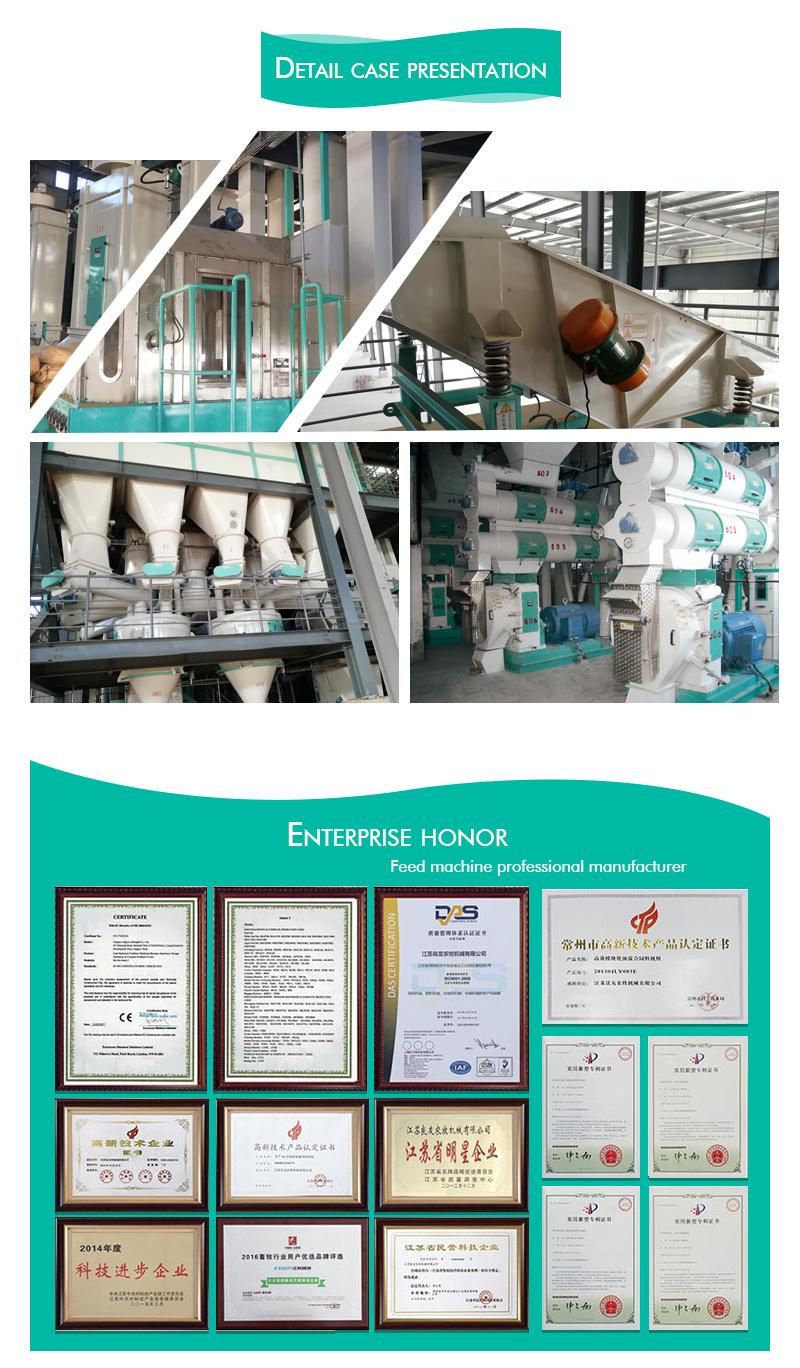 Professional Biomass Pellet Production Line with Sludge and Sawdust
