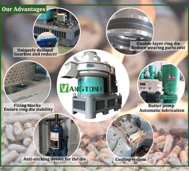 Sawdust Biomass Wood Pellet Machine Granulator 160 Kw Ring Die Pellet Machine 760 2-2.5 T/H