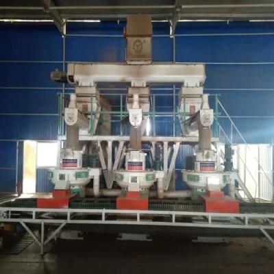 Ce Approved Ring Die Biomass Wood Sawdust Pellet Processing Machines