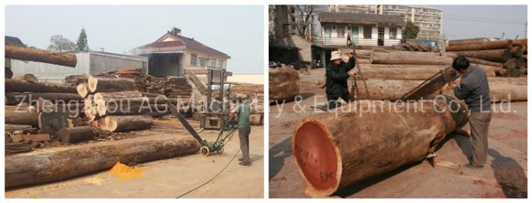 Gasoline Woodworking Machinery Chainsaw Portable Sawmill for Sale