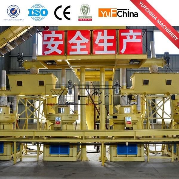 China Professional Sawdust Wood Rice Husk Pellet Production Line