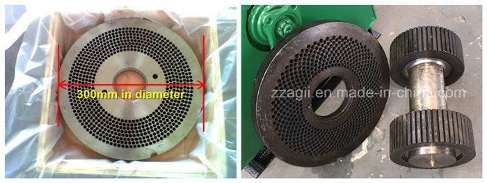 Biomass Energy Wood Pellet Press Sawdsut Pellet Mill Machine