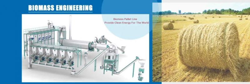 High Efficiency Low Price High Capacity Wood Pellets Mill Making Machine