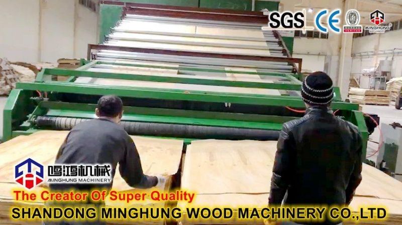 2layers/3layers/4layers Veneer Roller Dryer Machine for Drying Core Veneer