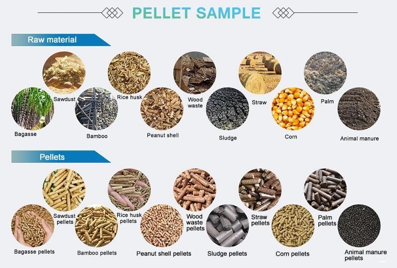 New Type 2022 Supply Ring Die Biomass Pellet Machine for Wood Straw Sawdust Grass
