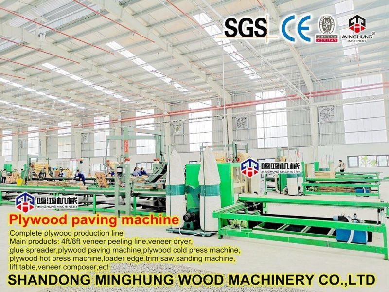 Plywood Lay out Machine for Manufacturing Plywood