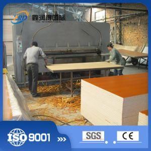 Advanced Custom Short Cycle Laminating Hot Press