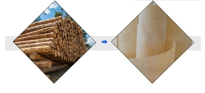 8 Feet Spindle Cutting Ang Peeling Plywood Machine
