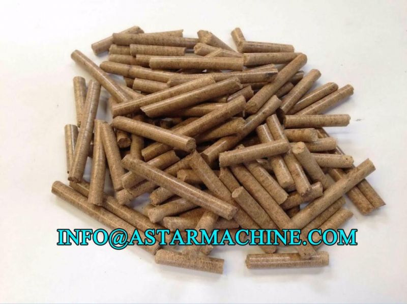 1t/H Capacity Ring Die Biomass Wood Pellet Mill Biomass Pelletizing Machine